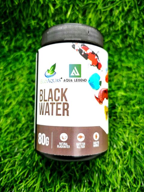 black water  2.jpg