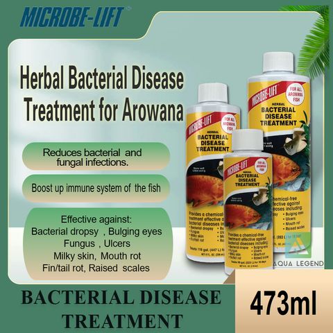 Bacterial Disease Treatment 473ml.jpg