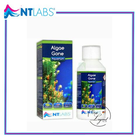 ALGA GONE.jpg