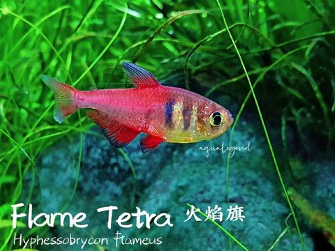 photo1659671835 (3).jpeg