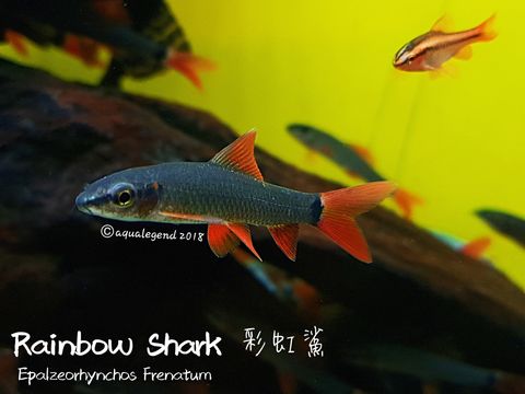 20180628_195429_mh1530189478841.jpg