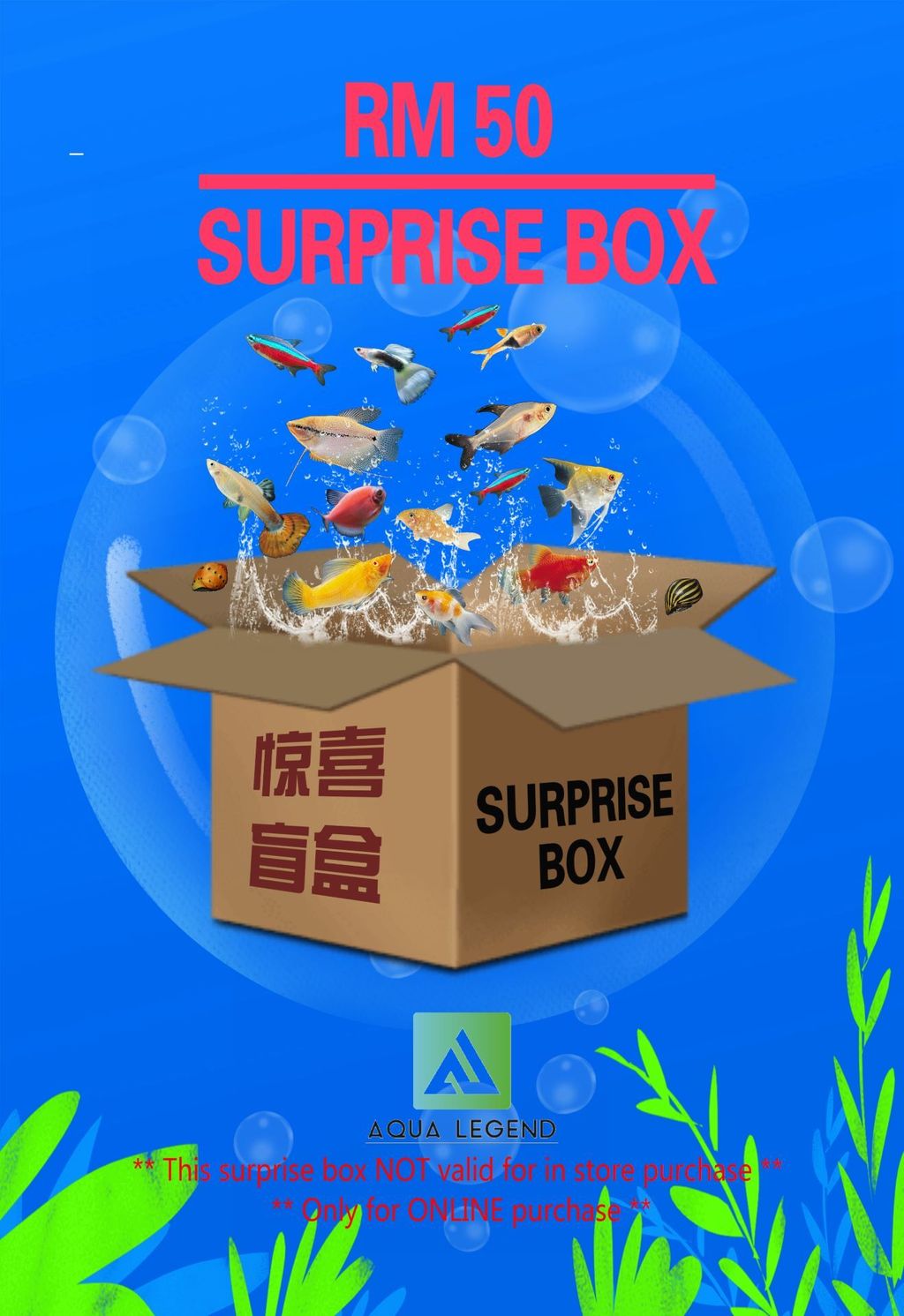 RM 50 surprise box