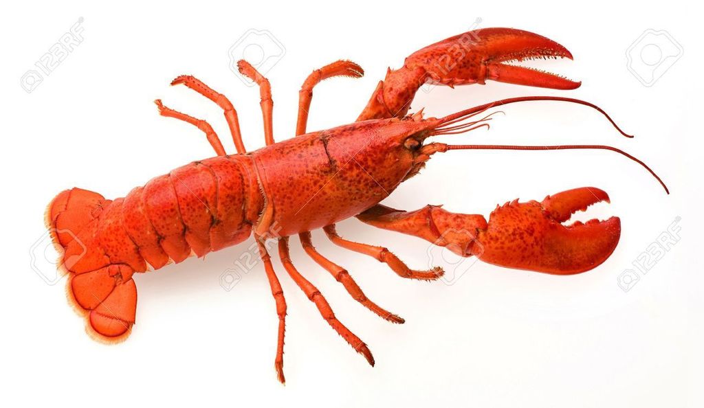 15468