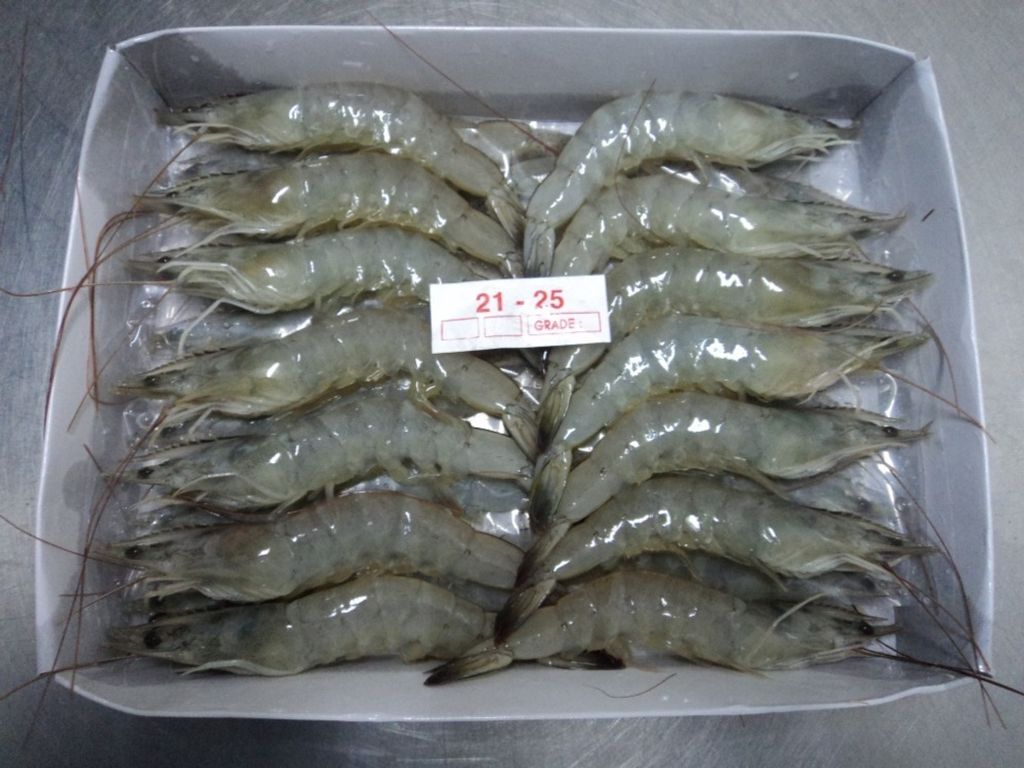 PRAWN HO.jpg