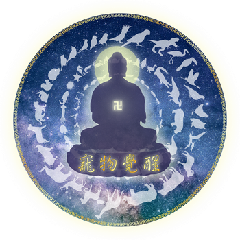 寵物覺醒