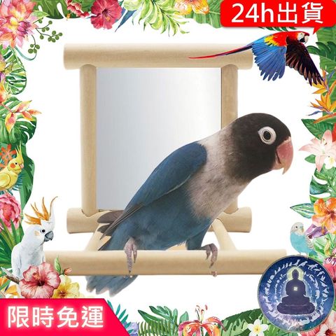 c5a6fc548f6aa4a06d2dc65279dedc48