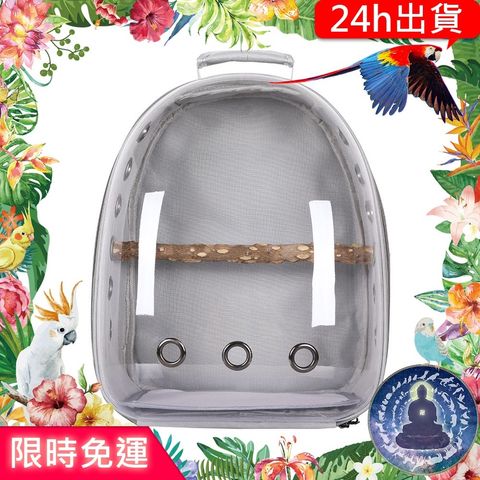 sg-11134201-22090-qfidodygi3hv8a