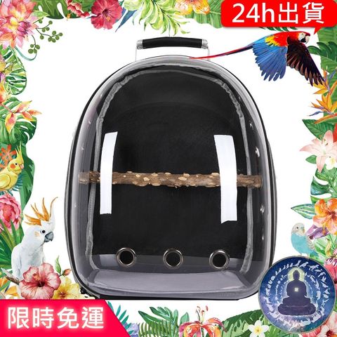 sg-11134201-22090-msdzmh9ei3hv1c