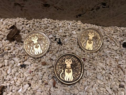 LINE_ALBUM_百萬攝影棚 🤣_230712_37