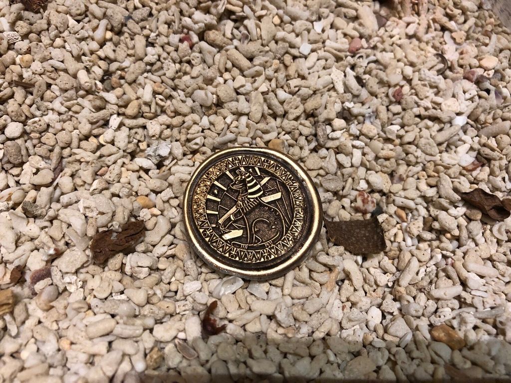 LINE_ALBUM_百萬攝影棚 🤣_230712_43