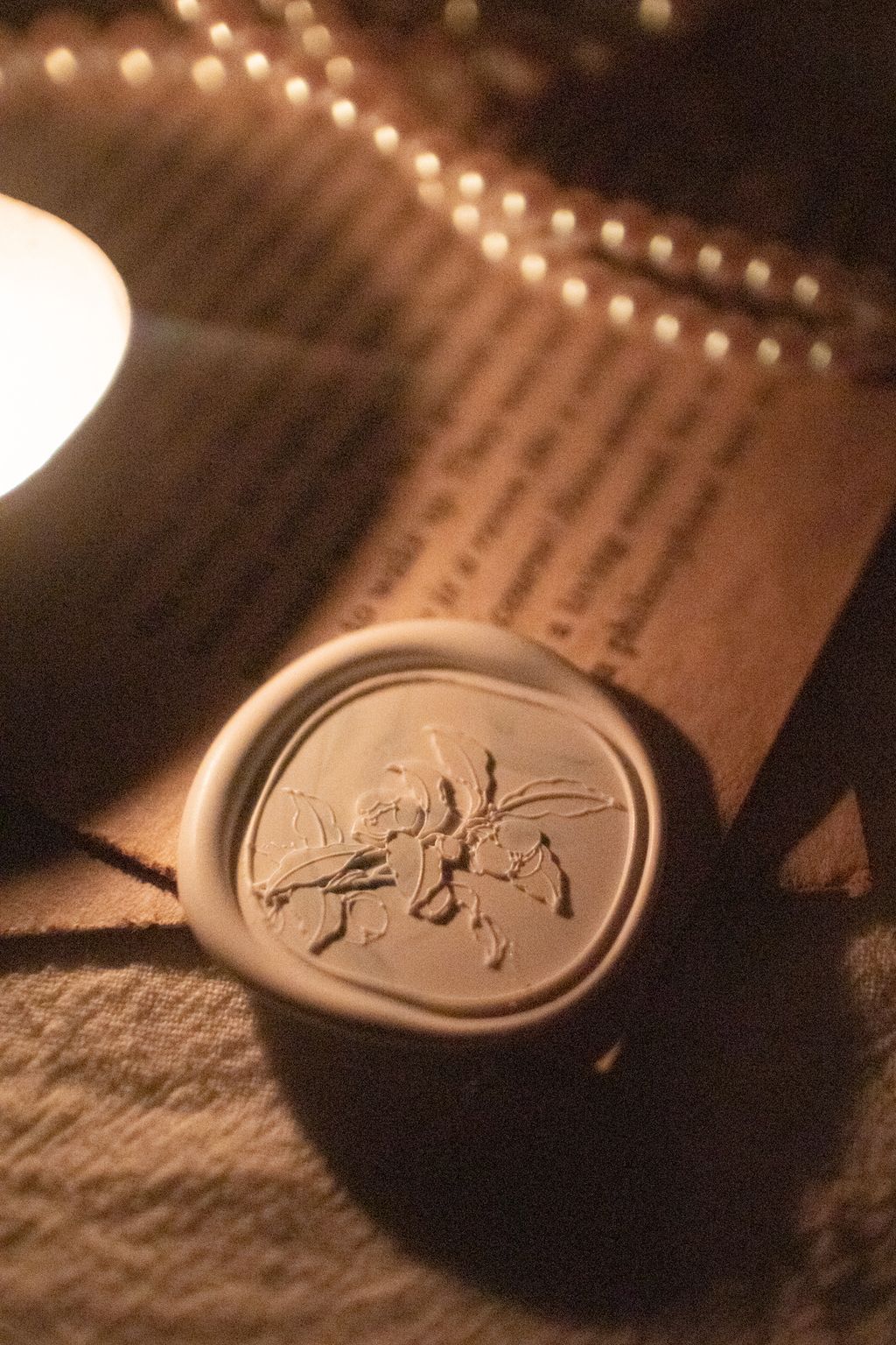 IMG_5985-1701615510957