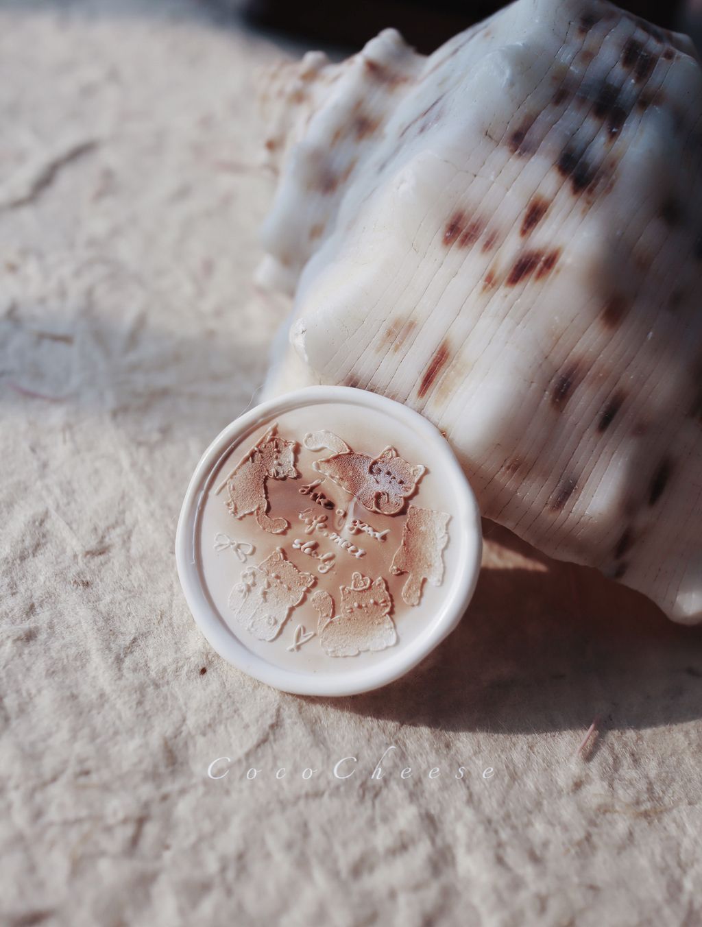 IMG_1097-1713782206483