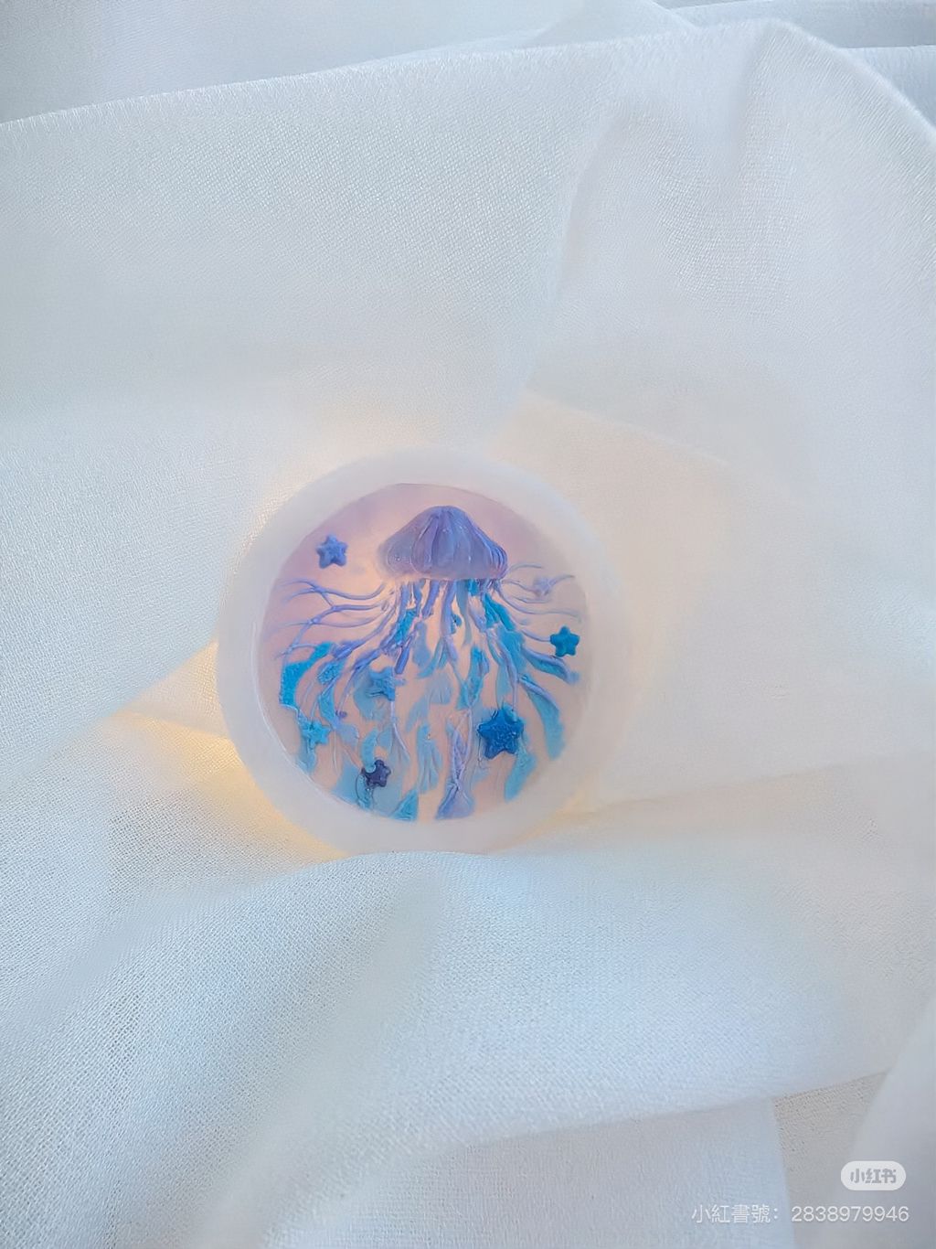 IMG_6284-1724602111185