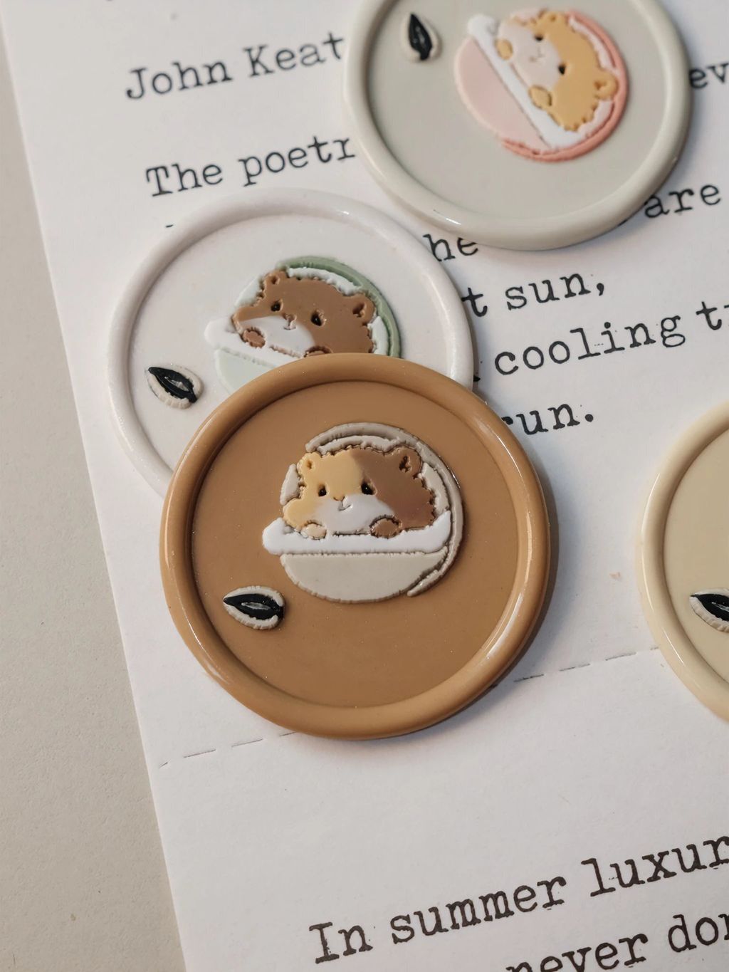 IMG_0549-1712670993667