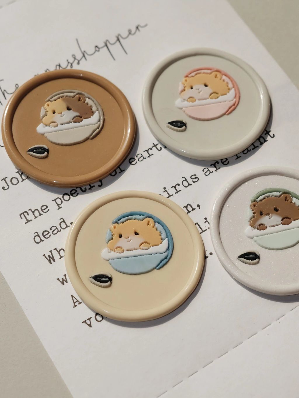 IMG_0551-1712670993686