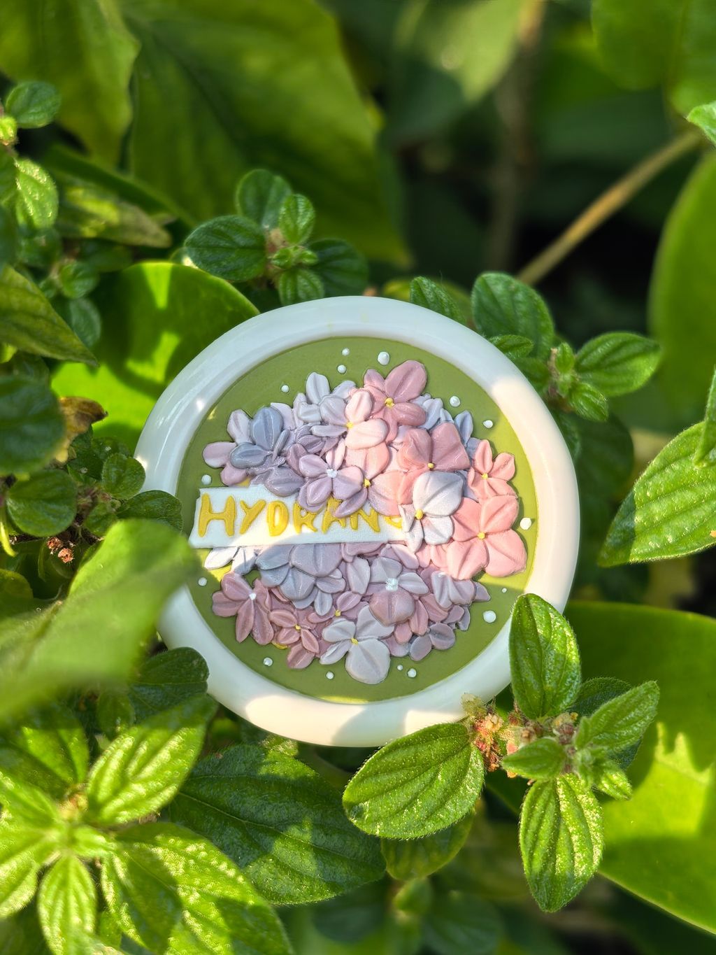 圖片_20240811224343