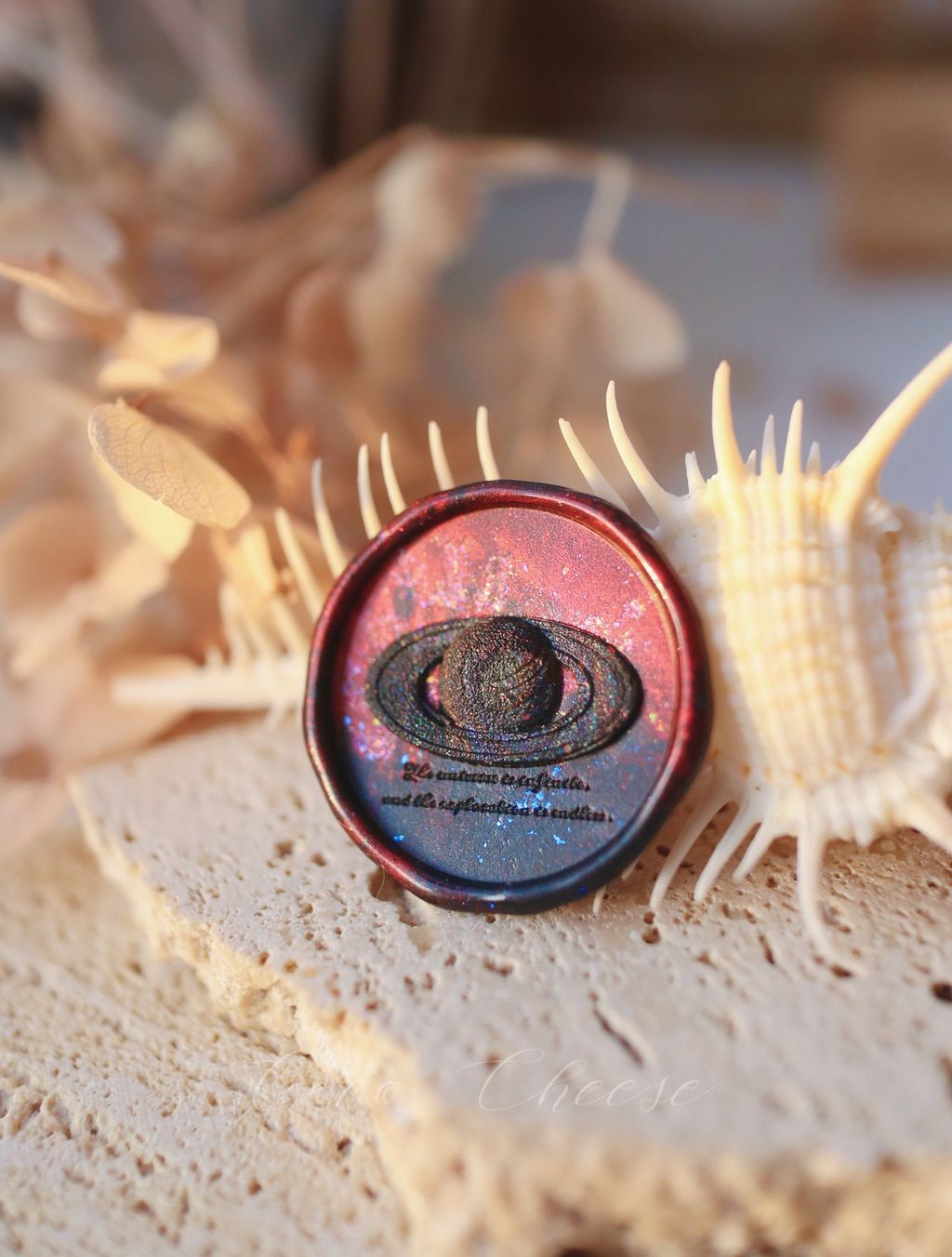 圖片_20241102235456