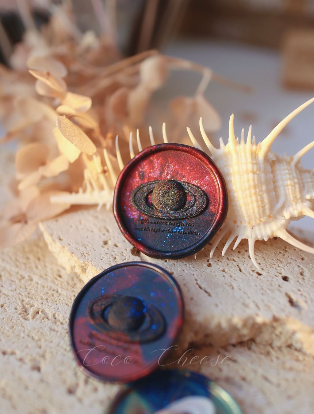 圖片_20241102235457