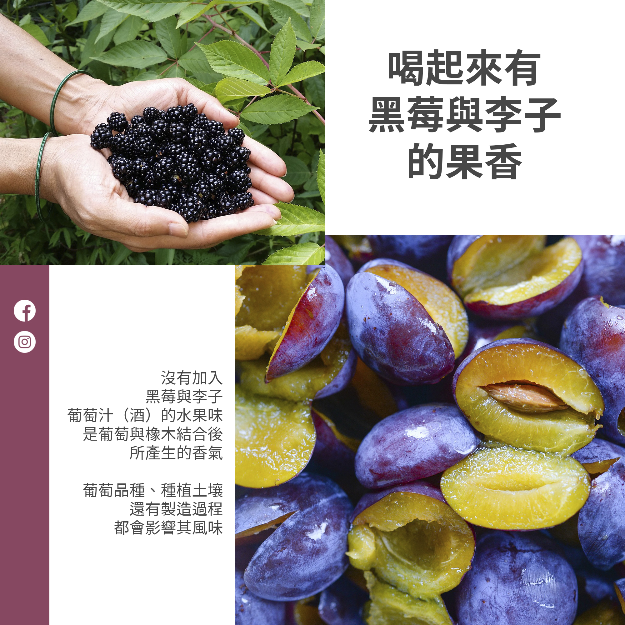 03 200918 Fruit