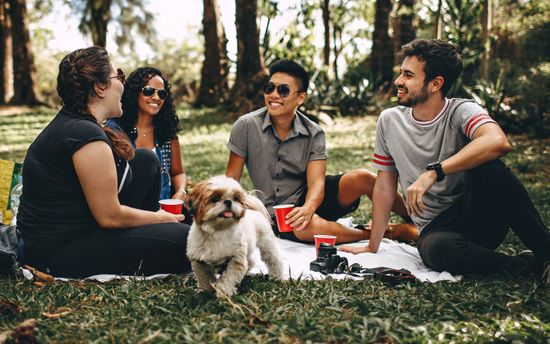 FIRE UP THE PIT HAVE A BLAST! | KAO by thedailychefs