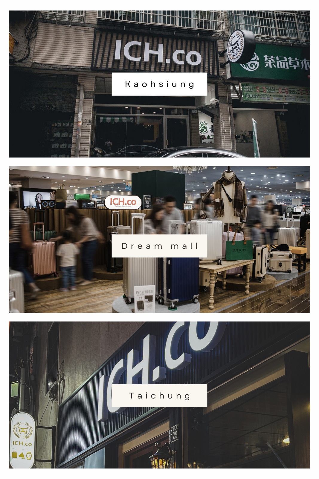 Neutral Simple Aesthetic Photo Collage (Portrait)s