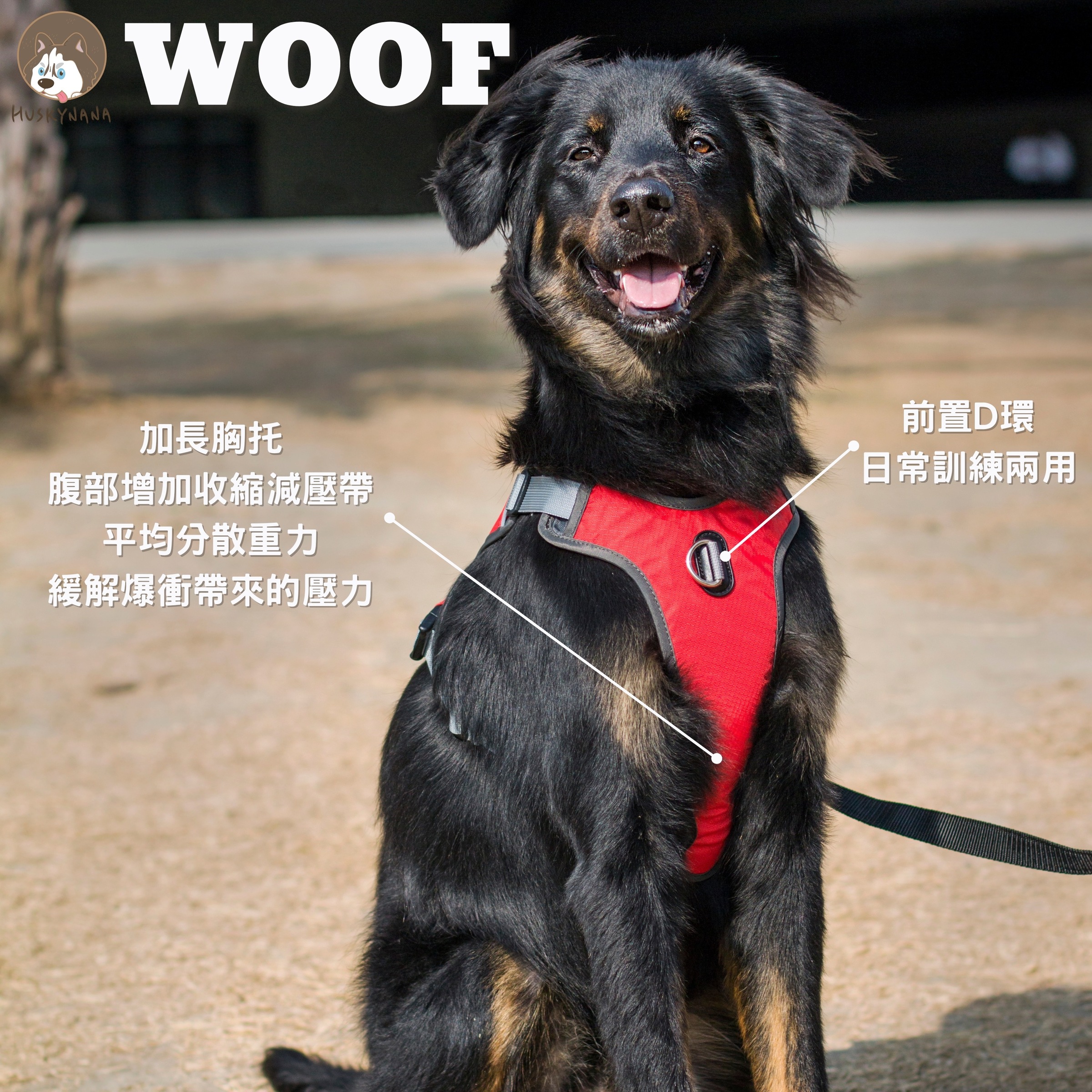 WOOF機能包覆胸背