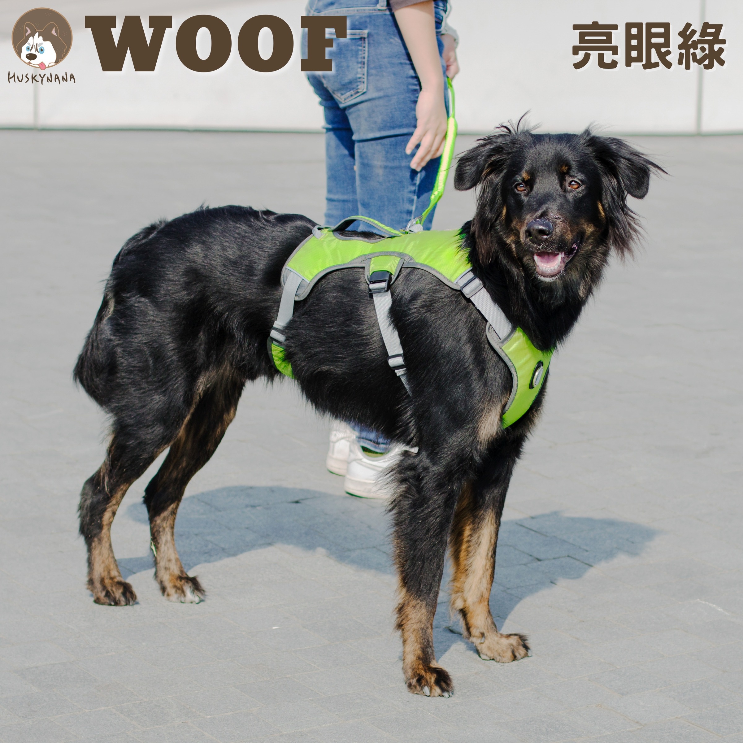 WOOF機能包覆胸背