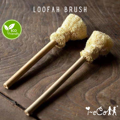 Loofah Brush (Bamboo Stick)