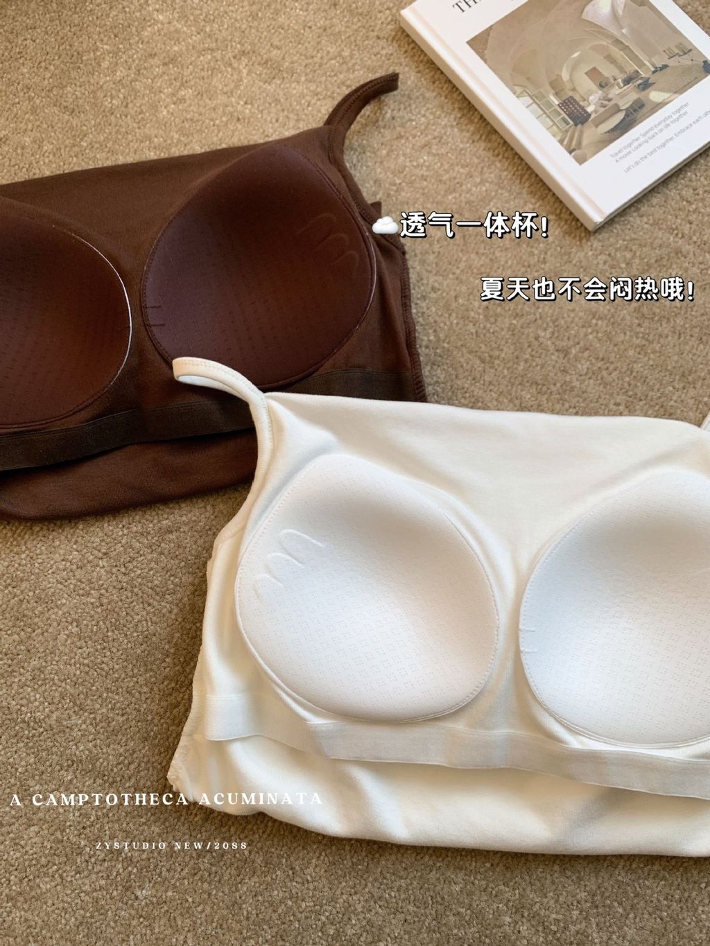 image_911405F5-2A3F-4E91-B7F8-6E29C028FB58_1776329454