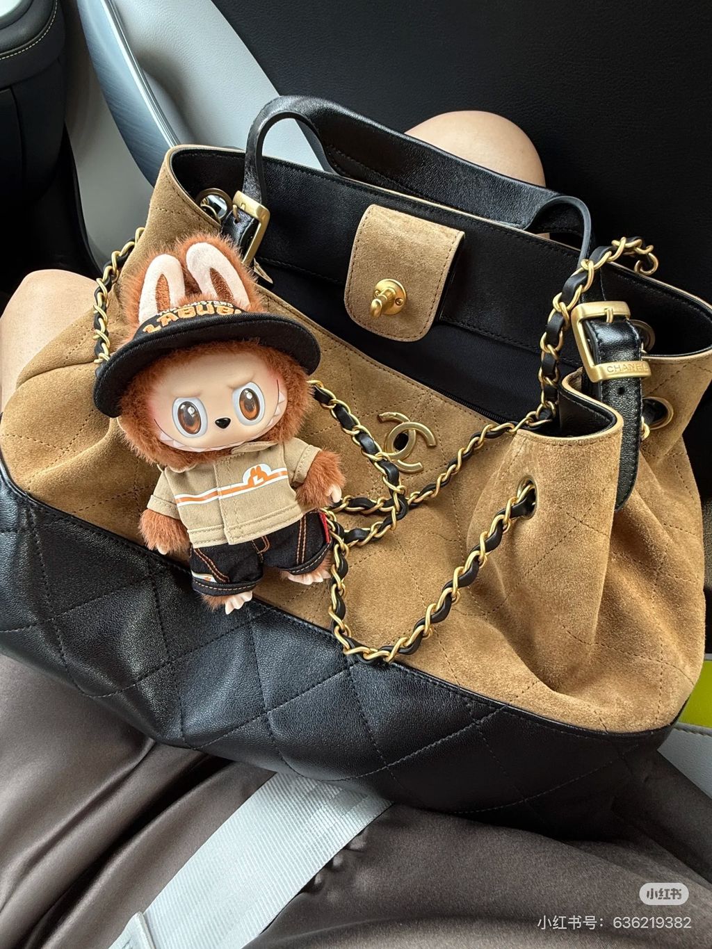 image_20083CF7-ECD2-47C8-A269-2DDFB74700D0_1761978933