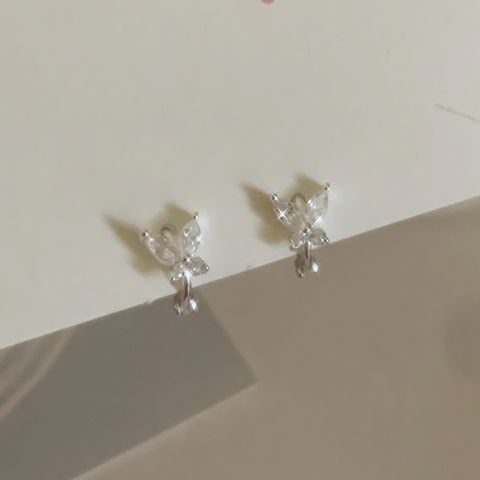 LINE_ALBUM_2026129_260130_45