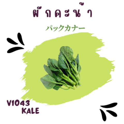 43_20220831_162058_0042