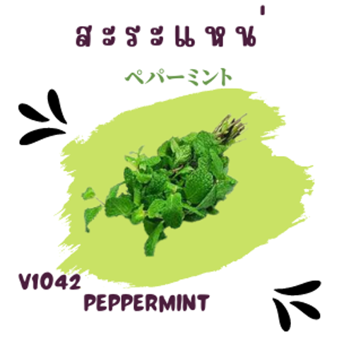 42_20220831_162058_0041