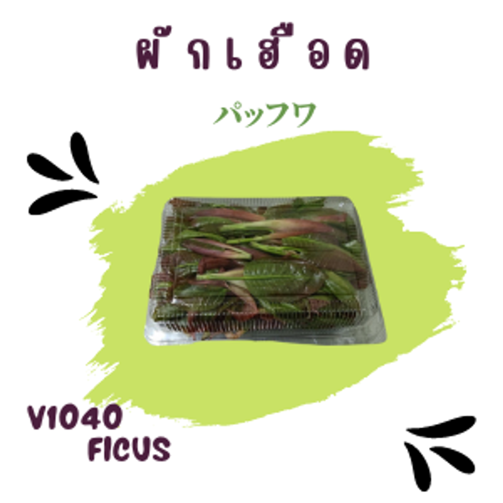 40_20220831_162058_0039