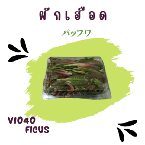 40_20220831_162058_0039