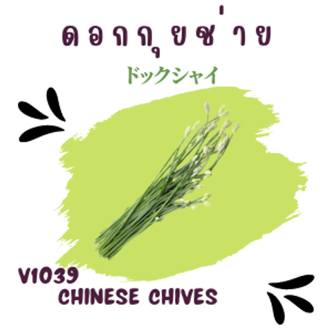 39_20220831_162058_0038