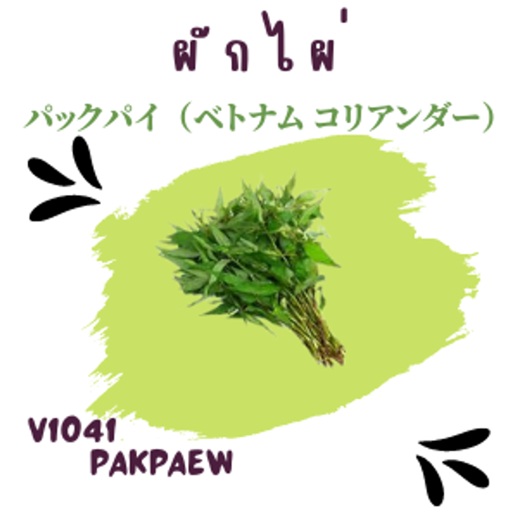 41_20220831_162058_0040