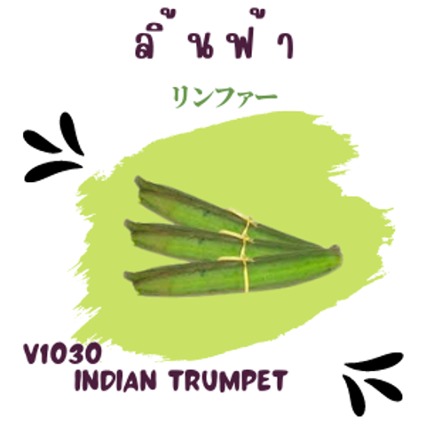 30_20220831_162058_0029