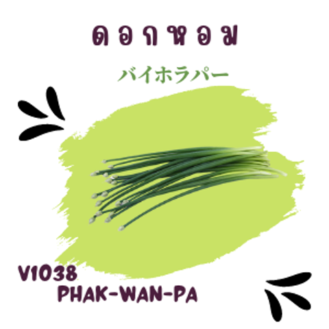 38_20220831_162058_0037