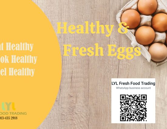 LYL Fresh Food Trading | LYL Fresh Food Trading