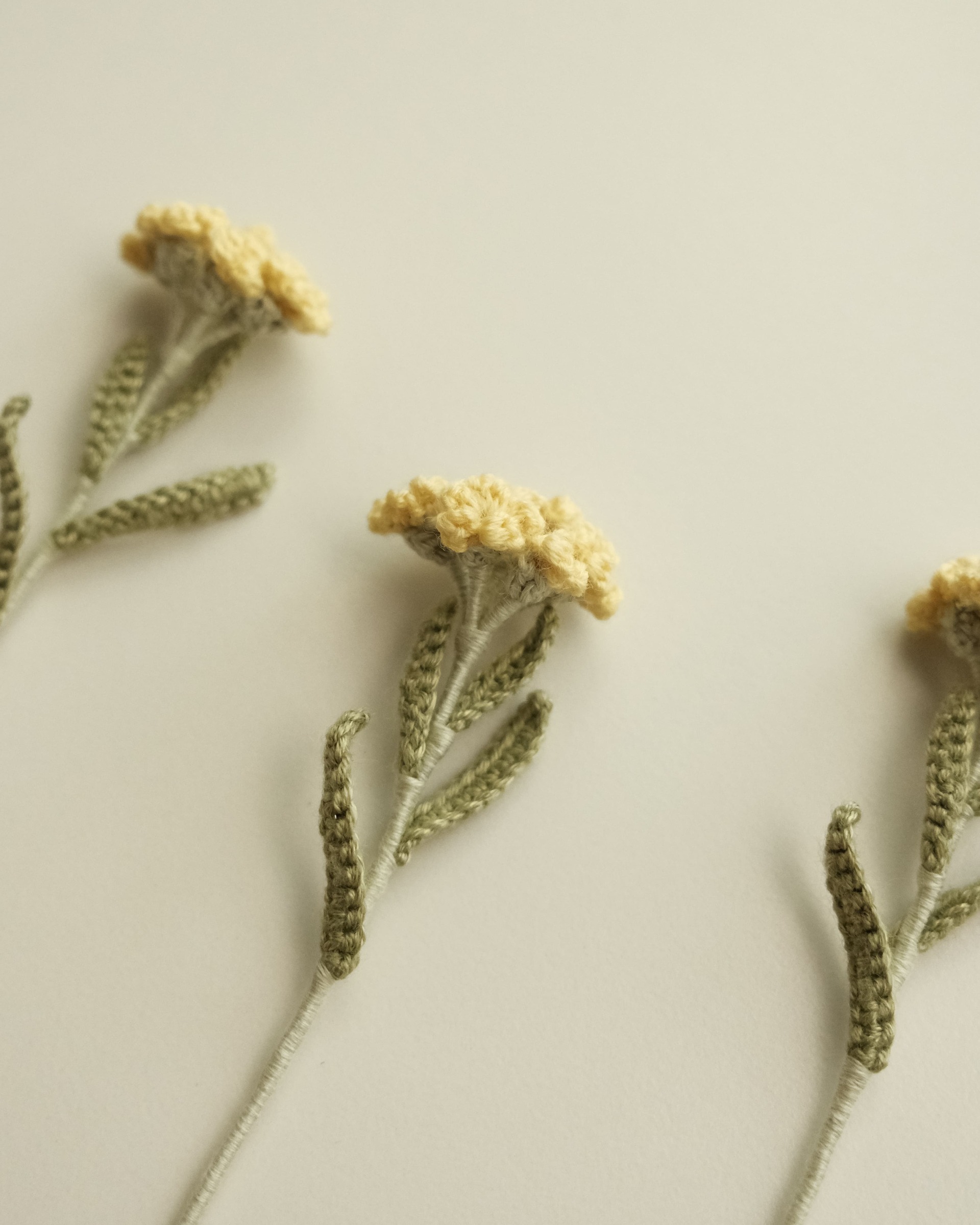 miknithouse_ 編織花_鼠麴草5