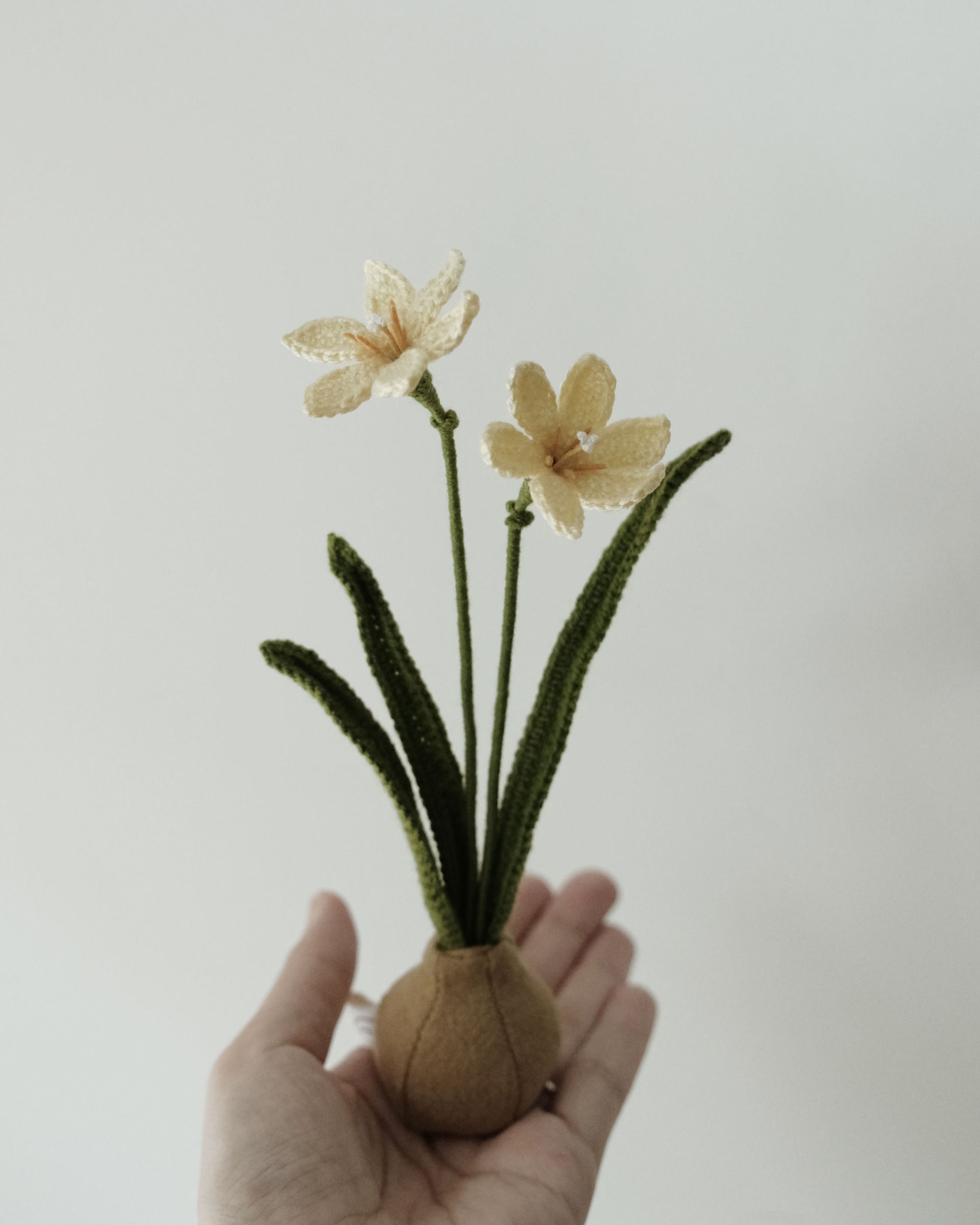 miknithouse_ 編織花_風雨蘭7