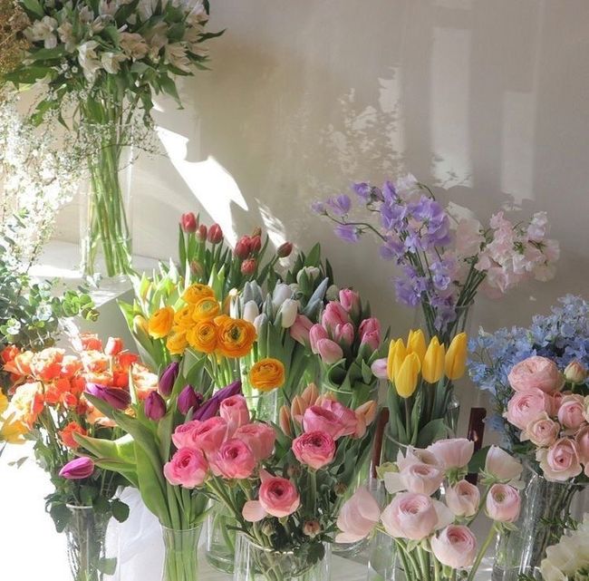 VANA STUDIO |  - FRESH MADE