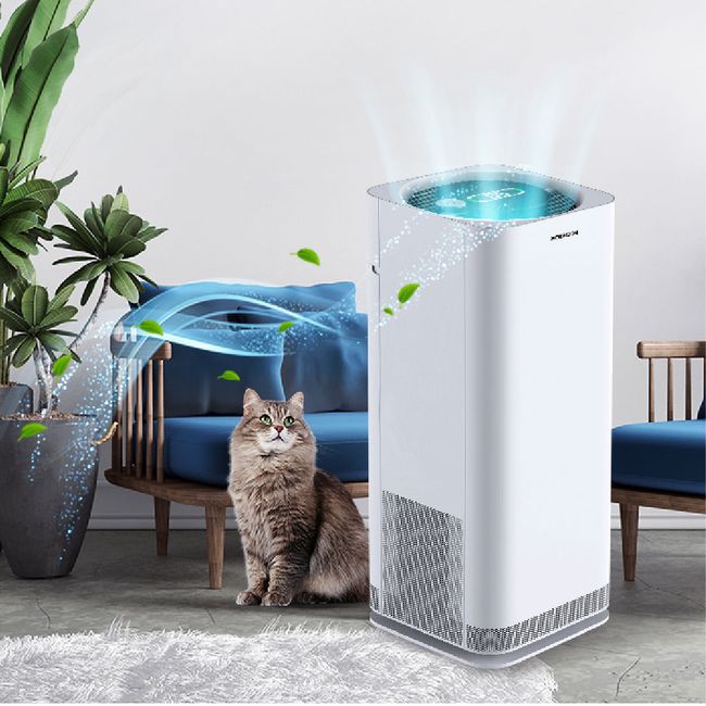 Kare For U |  - AIR PURIFIER