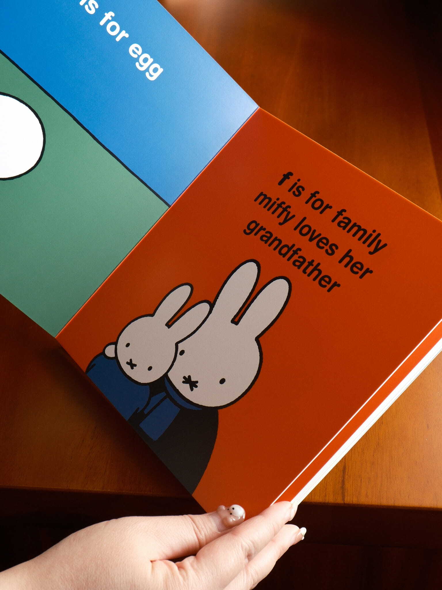 Miffy's ABCs 5