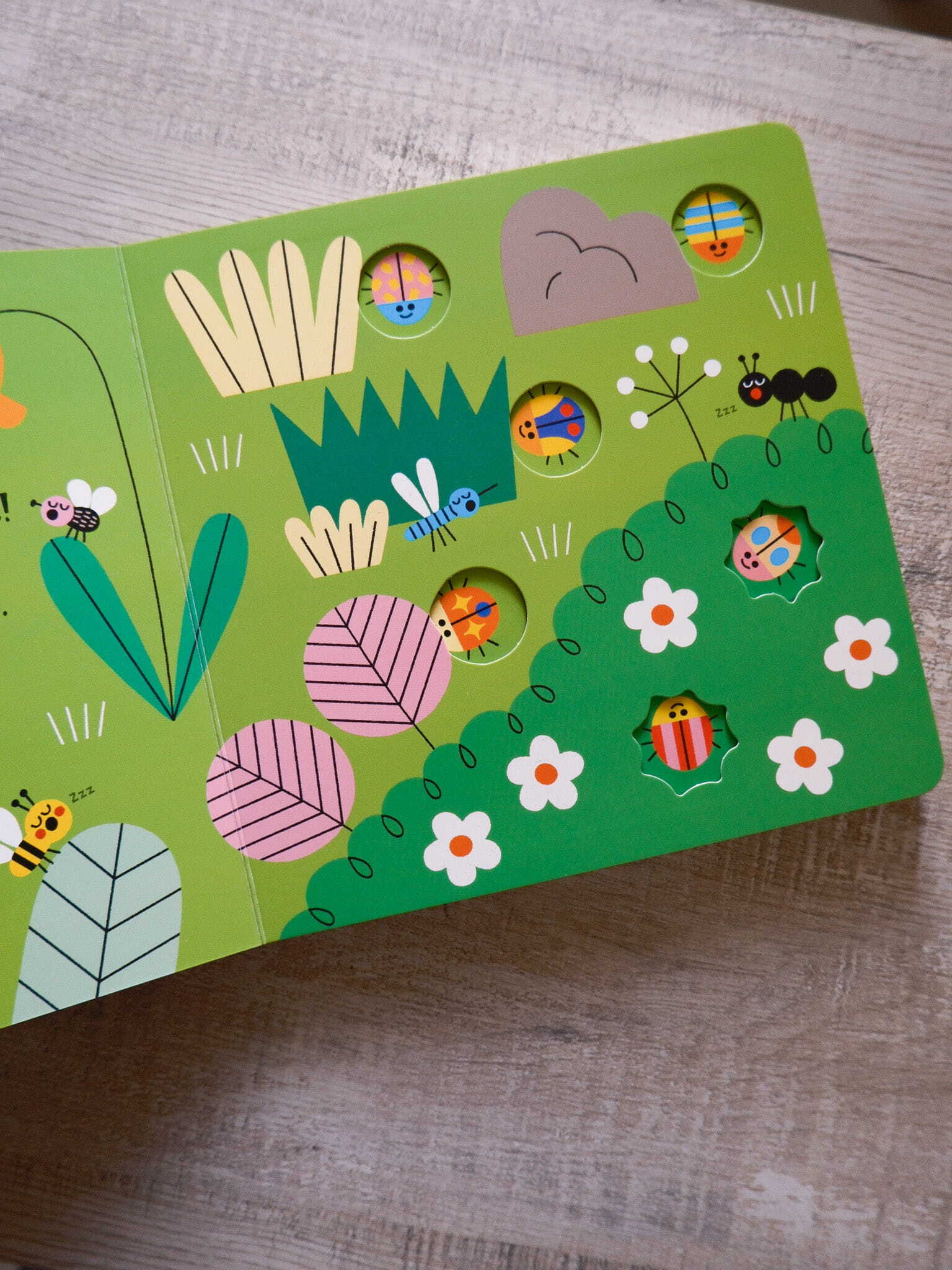 Ready, Steady, Race! Bugs 2