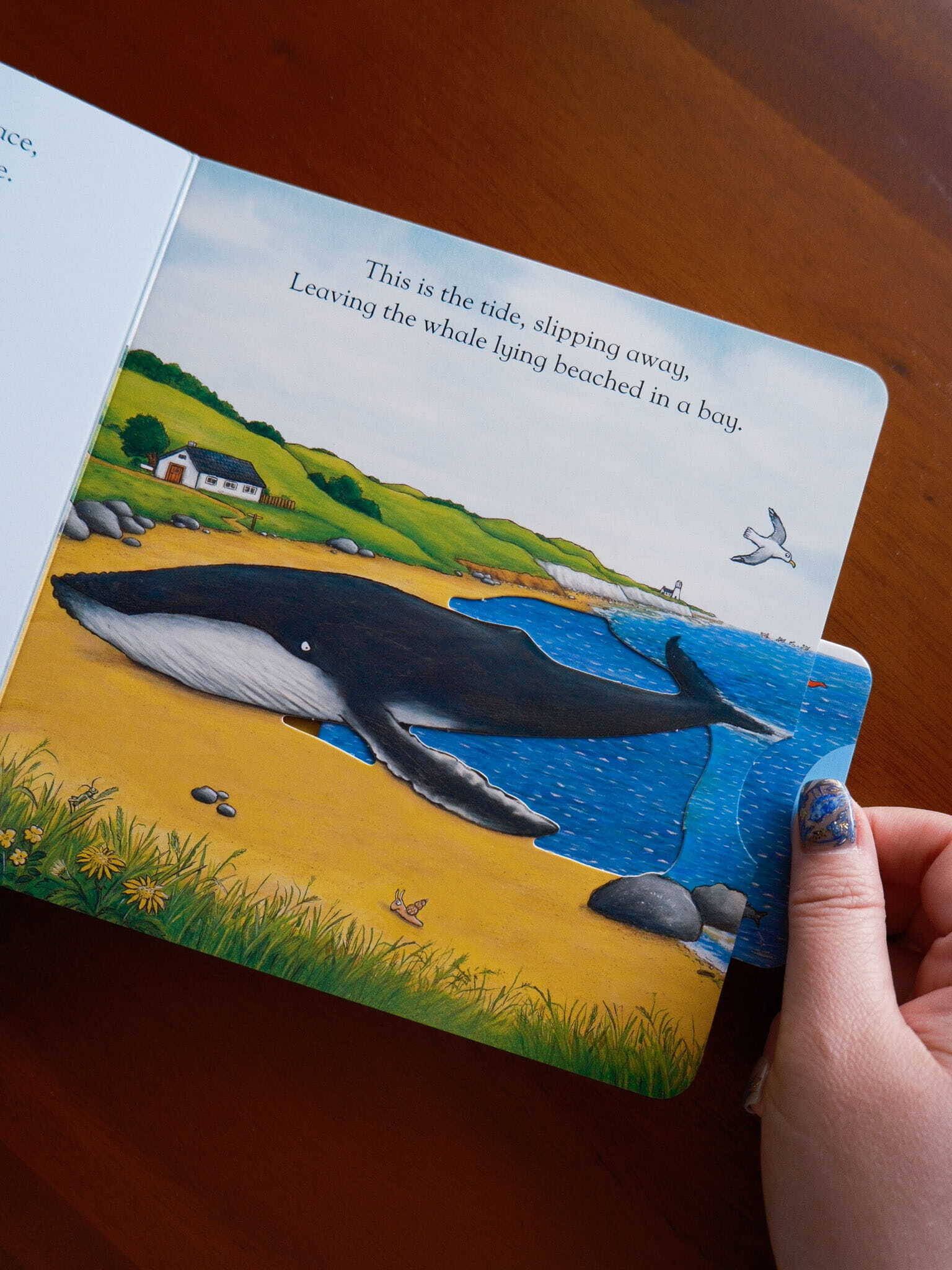 The Snail and the Whale 3