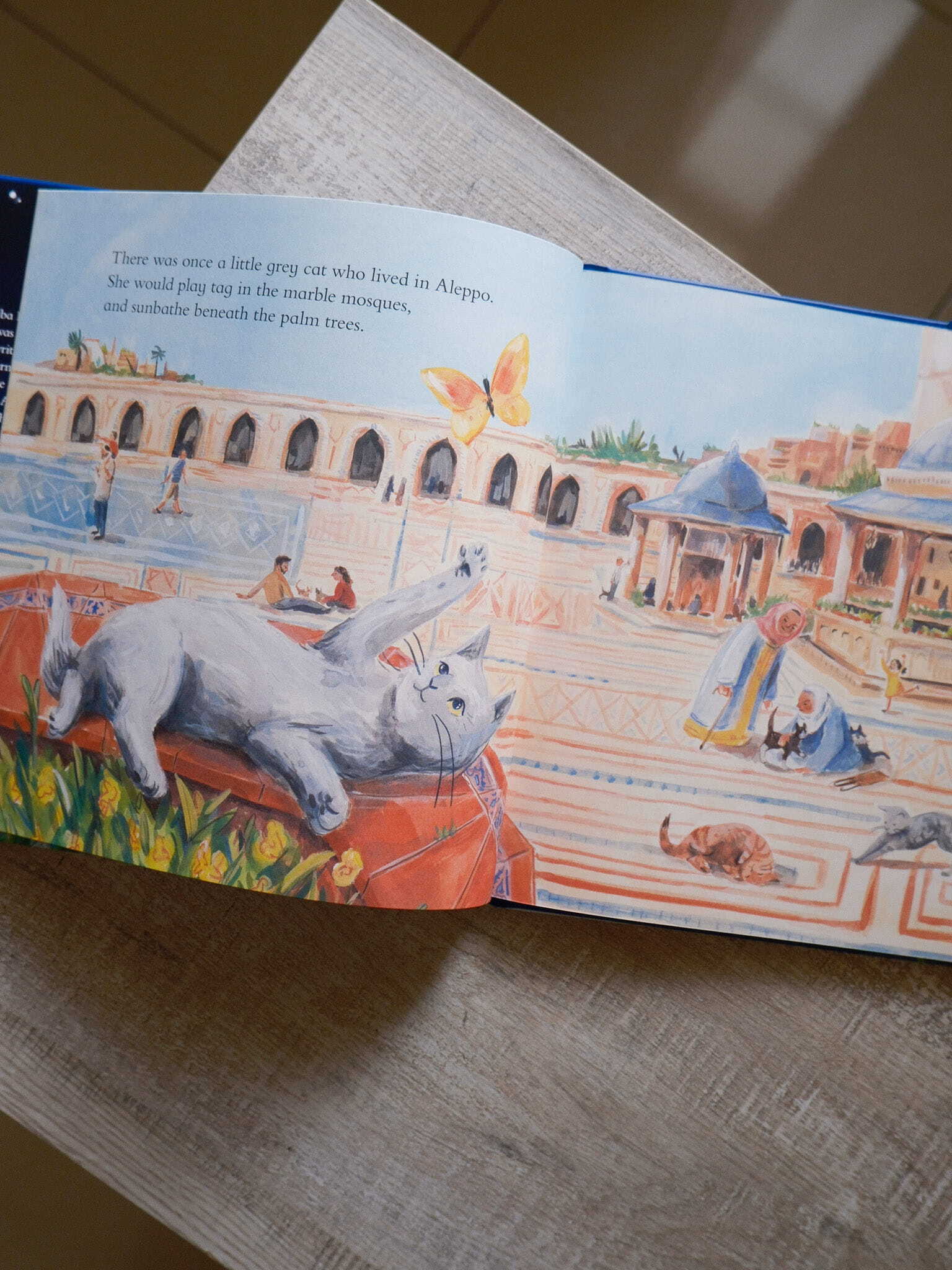 The Little War Cat 2