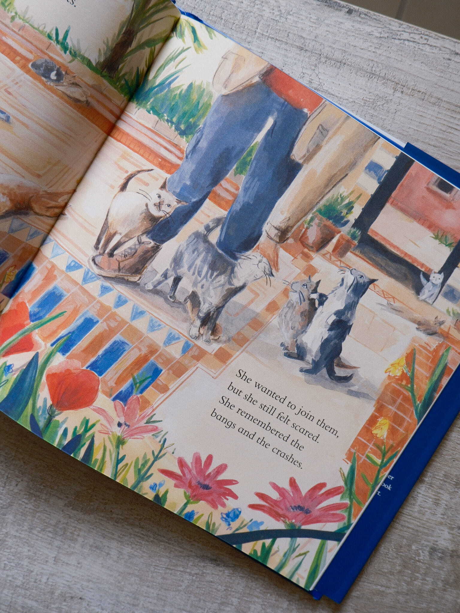 The Little War Cat 8