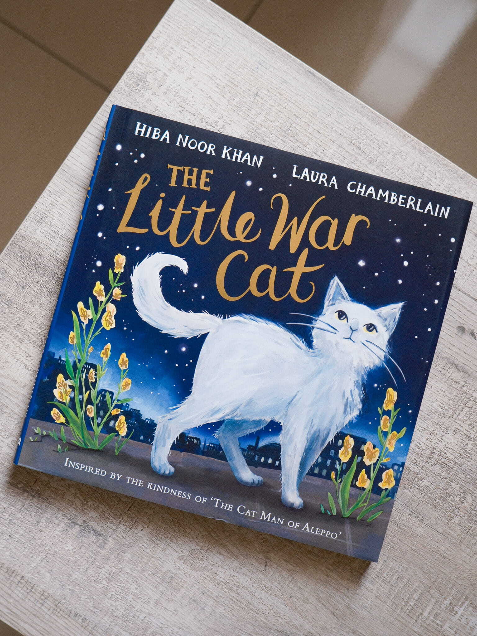 The Little War Cat 1